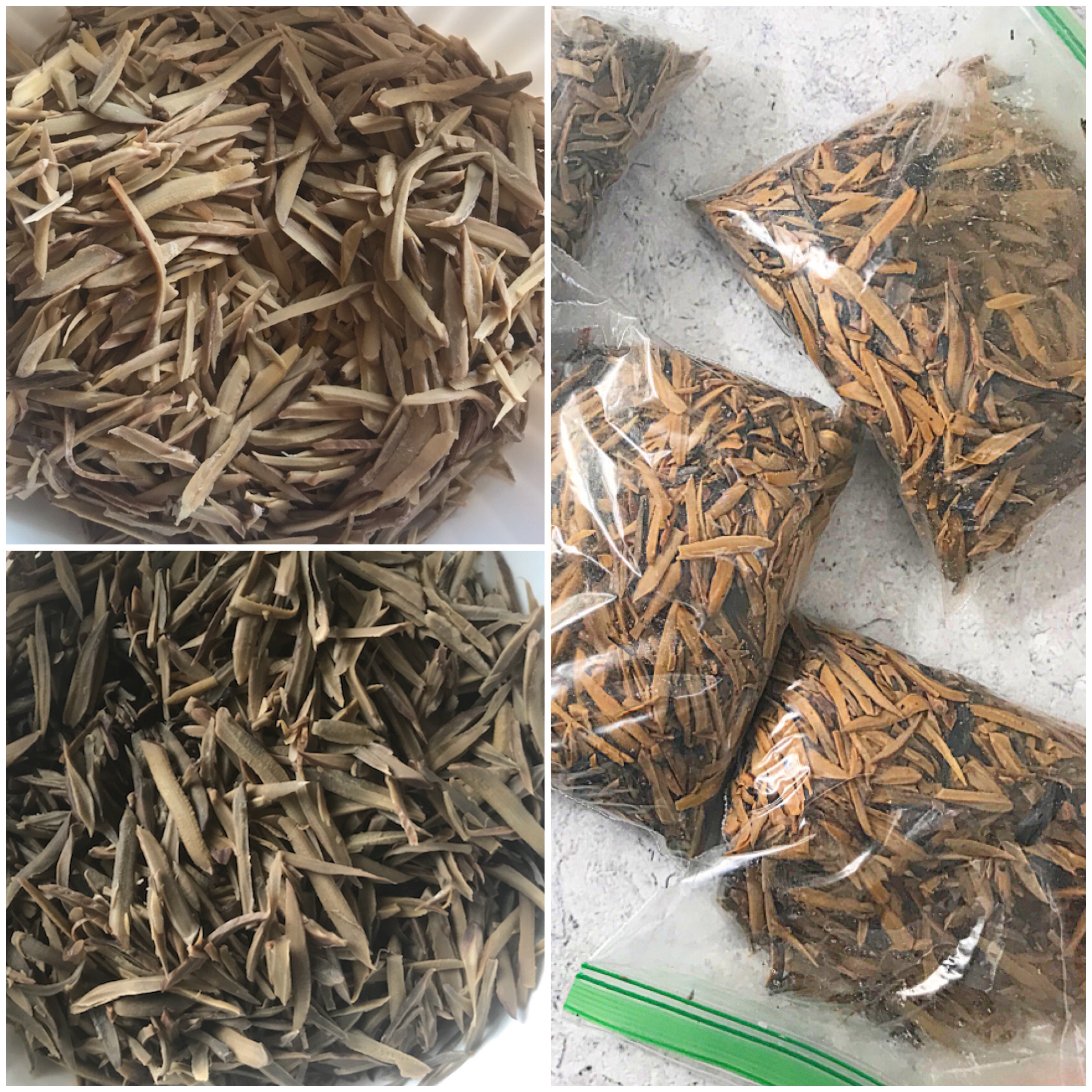 Fermenting Ugba/Ukpaka (African Oil bean seed) My Diaspora Kitchen